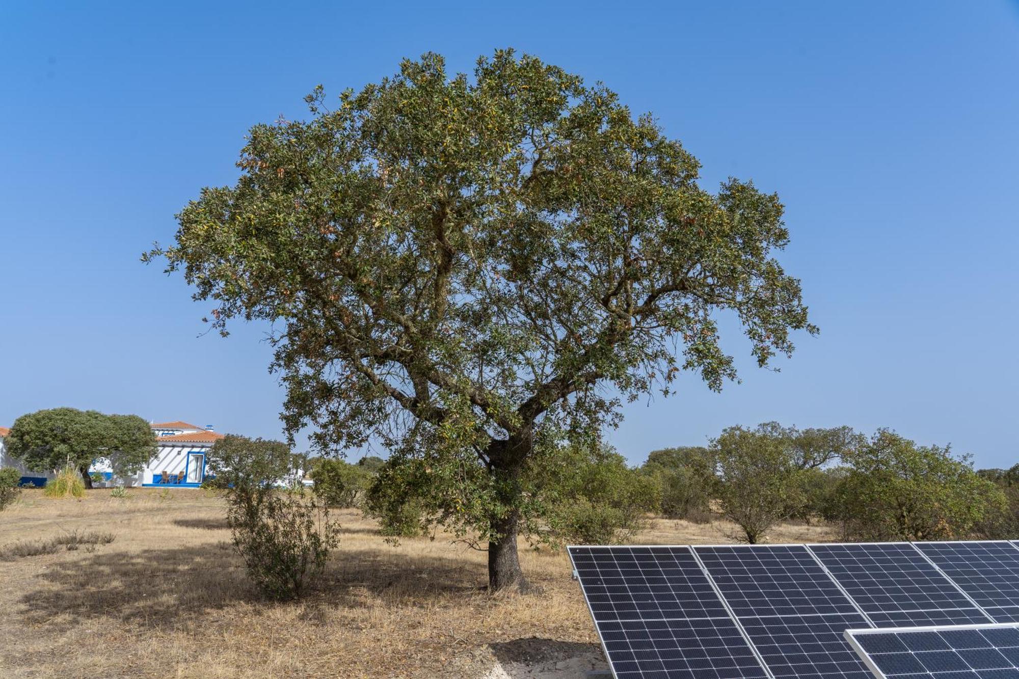 Change The World - Herdade Monte Do Peral Montes Juntos Ngoại thất bức ảnh