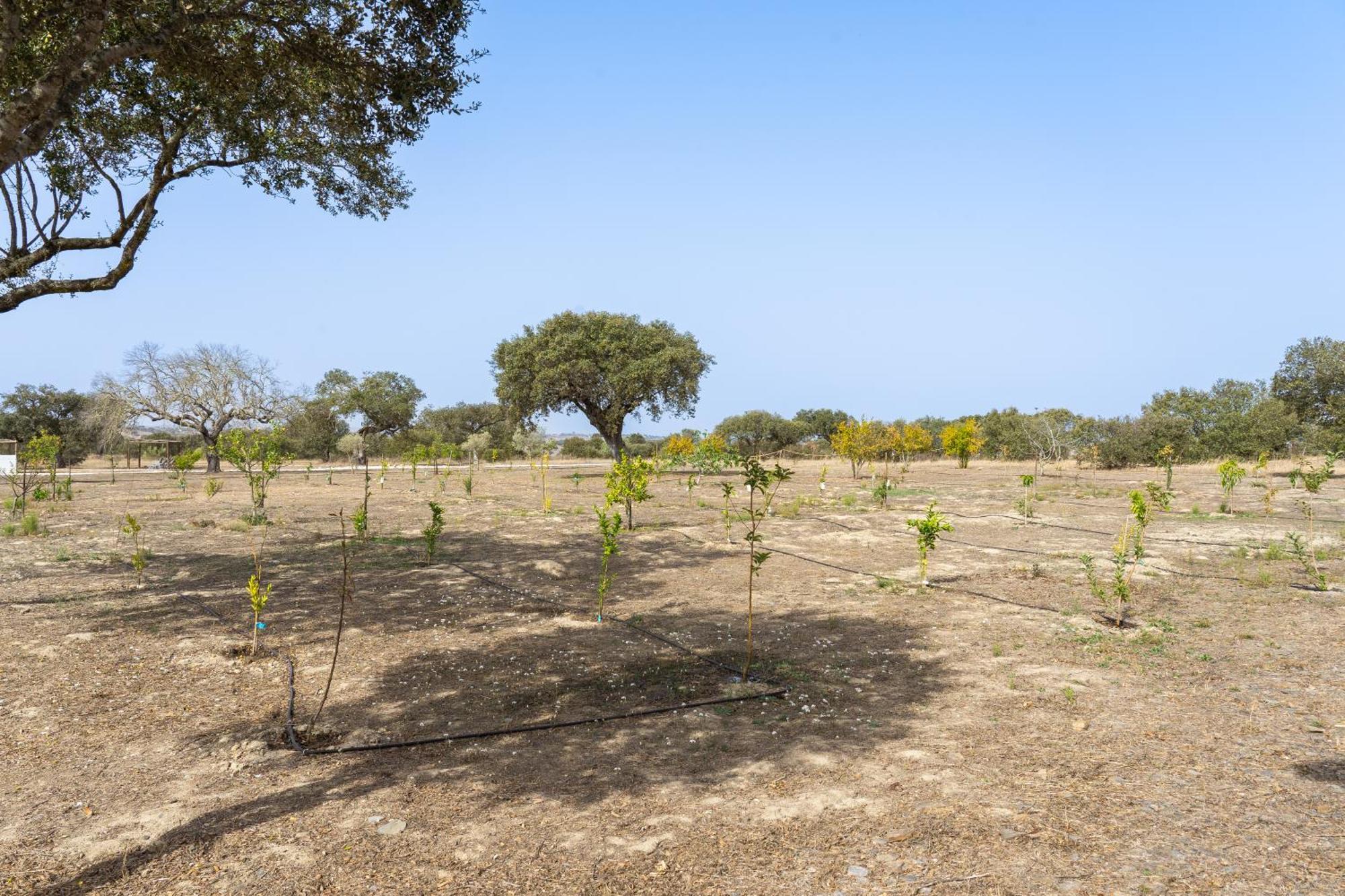 Change The World - Herdade Monte Do Peral Montes Juntos Ngoại thất bức ảnh