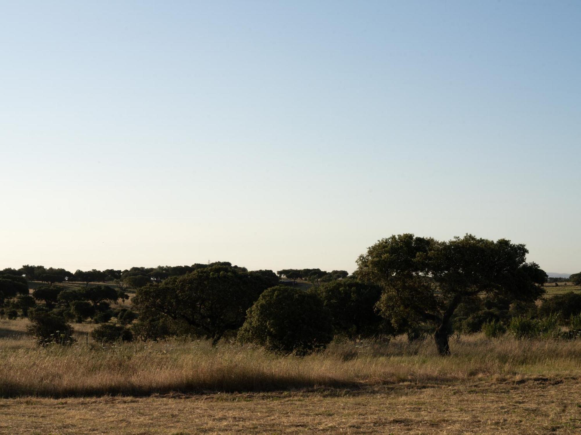 Change The World - Herdade Monte Do Peral Montes Juntos Ngoại thất bức ảnh