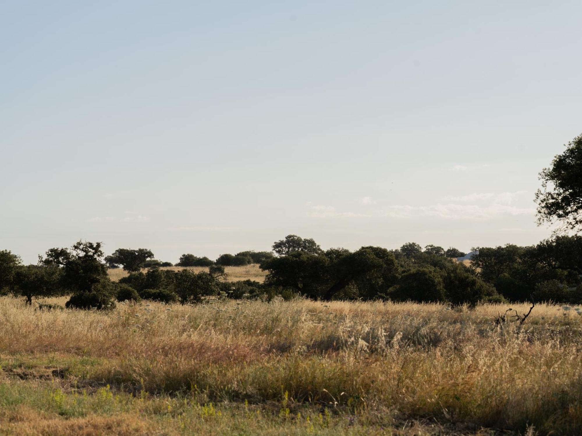 Change The World - Herdade Monte Do Peral Montes Juntos Ngoại thất bức ảnh